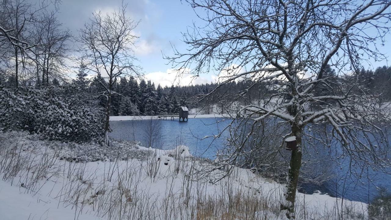 Hahnenklee Ferienpark 1-411 Goslar Ngoại thất bức ảnh